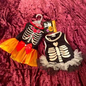 Halloween Dresses for Dogs